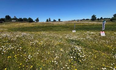 ARRIENDO SITIOS  SECTOR BARRO BLANCO