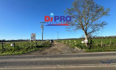 ARRIENDO SITIO SECTOR PURRANQUE