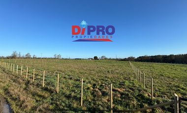ARRIENDO SITIO SECTOR PURRANQUE