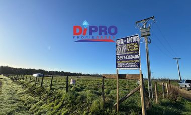 ARRIENDO SITIO SECTOR PURRANQUE