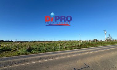 ARRIENDO SITIO SECTOR PURRANQUE