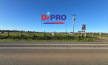 ARRIENDO SITIO SECTOR PURRANQUE