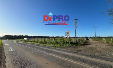 ARRIENDO SITIO SECTOR PURRANQUE