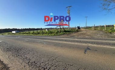 ARRIENDO SITIO SECTOR PURRANQUE