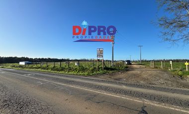 ARRIENDO SITIO SECTOR PURRANQUE