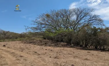 Finca-Rancho en venta en Comala, Comala, Colima