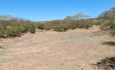 Finca-Rancho en venta en Comala, Comala, Colima