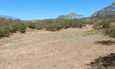 Finca-Rancho en venta en Comala, Comala, Colima