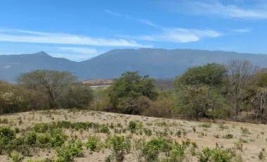 Finca-Rancho en venta en Comala, Comala, Colima