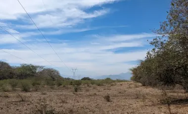 Finca-Rancho en venta en Comala, Comala, Colima