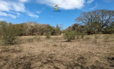 Finca-Rancho en venta en Comala, Comala, Colima