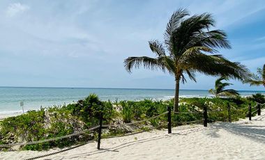 PH MAREAZUL, PLAYA DEL CARMEN
