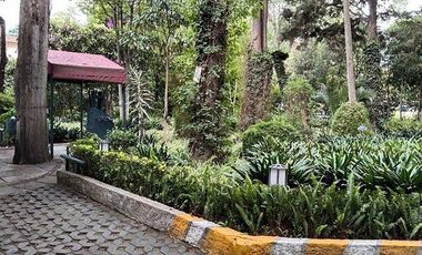 RENTA LOCAL COMERCIAL EN SAN ÁNGEL