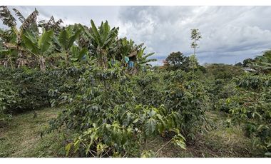 VENTA DE FINCA EN QUIMBAYA, QUINDO, COLOMBIA