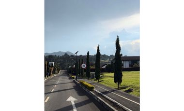 Lote Alto Palmas