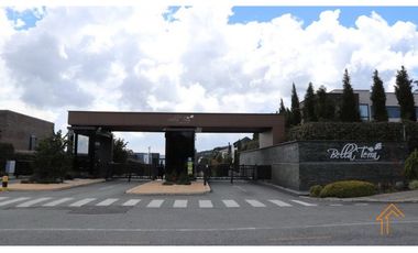 Lote Alto Palmas