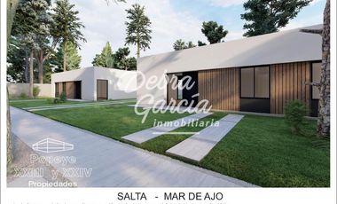 PH 4 AMB MAR DE AJO A ESTRENAR COCH, PARRILLA