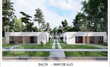 PH 4 AMB MAR DE AJO A ESTRENAR COCH, PARRILLA