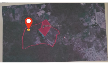 FINCA PRODUCTIVA EN VENTA | 68 HECTREAS,  Petrillo