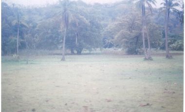 VENTA LOTE PORTOBELO 104 HECTREAS