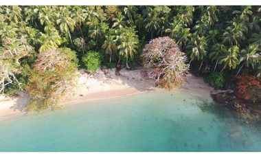 VENTA LOTE PORTOBELO 104 HECTREAS