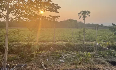 1 Bedroom House for sale in Lam Narai, Lop Buri