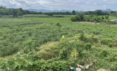 1 Bedroom House for sale in Lam Narai, Lop Buri
