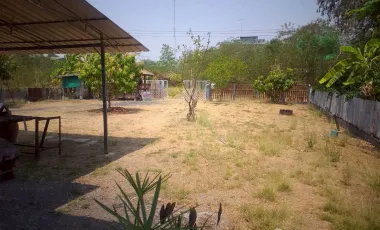 3 Bedroom House for sale in Khao Sai, Phichit