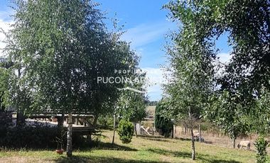 Parcela en venta  en PITRUFQUÉN