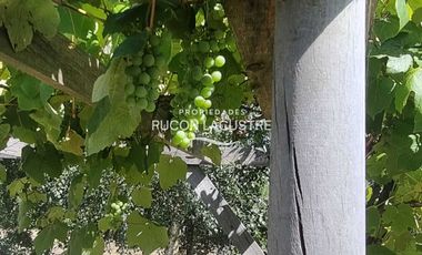 Parcela en venta  en PITRUFQUÉN