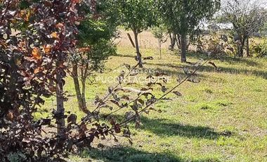 Parcela en venta  en PITRUFQUÉN