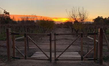 Finca con casa, departamentos y galpón en venta