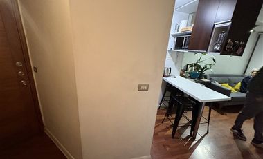 Departamento en Arriendo en Metro Toesca
