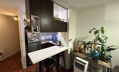 Departamento en Arriendo en Metro Toesca