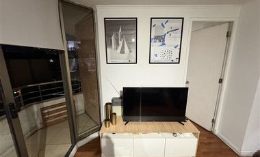 Departamento en Arriendo en Metro Toesca