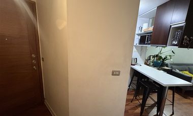 Departamento en Arriendo en Metro Toesca