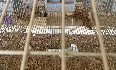 Campo en venta San Andres de Giles
