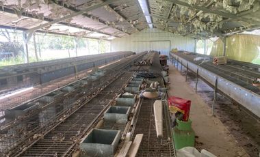 Campo en venta San Andres de Giles