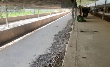 Campo en venta San Andres de Giles