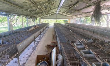 Campo en venta San Andres de Giles