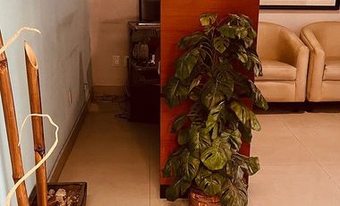 Renta 1 piso de oficinas Col. Juárez posesion inmediata $