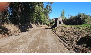 Parcela en Venta con Plantaciones en Pemuco - Ñuble