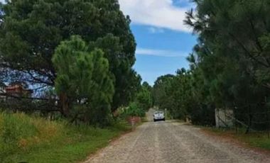 Terreno en Venta en Tapalpa - Fraccionamiento Pinares (3ra Sección)