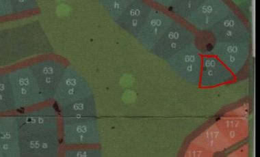 Terreno en Venta en Tapalpa - Fraccionamiento Pinares (3ra Sección)