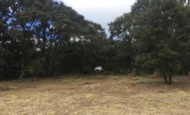 Terreno en Venta en Tapalpa - Fraccionamiento Pinares (3ra Sección)