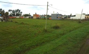 TERRENO ALVEAR