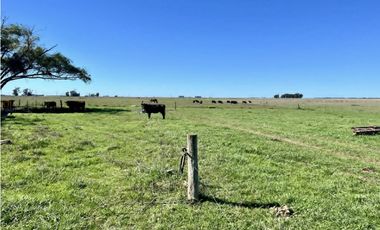 LATORRE PROP. VENDE 51 HECTAREAS EN VIVORATA