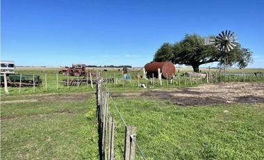 LATORRE PROP. VENDE 51 HECTAREAS EN VIVORATA