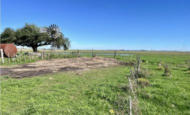 LATORRE PROP. VENDE 51 HECTAREAS EN VIVORATA