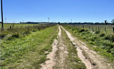 LATORRE PROP. VENDE 51 HECTAREAS EN VIVORATA